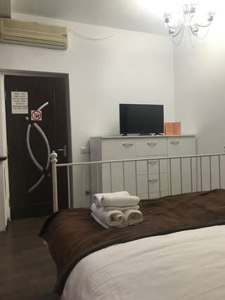 Гостевой дом Bucharest Center Villa Бухарест Стандартный двухместный номер с 1 кроватью и собственной ванной комнатой-10
