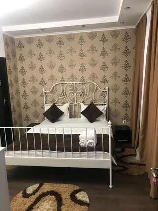 Гостевой дом Bucharest Center Villa Бухарест Стандартный двухместный номер с 1 кроватью и собственной ванной комнатой-12