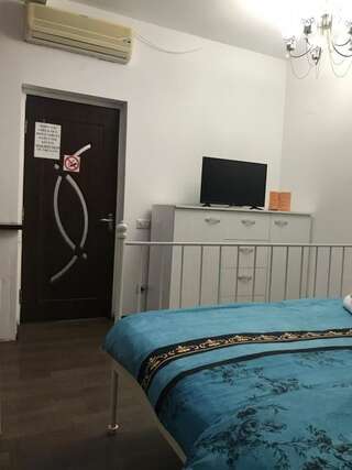 Гостевой дом Bucharest Center Villa Бухарест Стандартный двухместный номер с 1 кроватью и собственной ванной комнатой-16