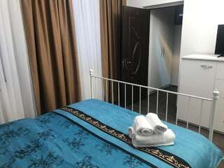 Гостевой дом Bucharest Center Villa Бухарест Стандартный двухместный номер с 1 кроватью и собственной ванной комнатой-18