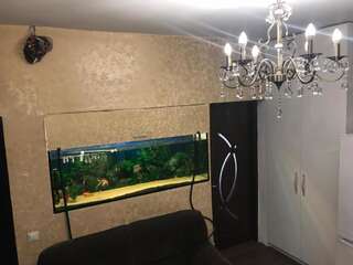 Гостевой дом Bucharest Center Villa Бухарест Стандартный двухместный номер с 1 кроватью и собственной ванной комнатой-27