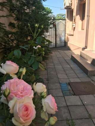 Гостевой дом Bucharest Center Villa Бухарест Стандартный двухместный номер с 1 кроватью и собственной ванной комнатой-32