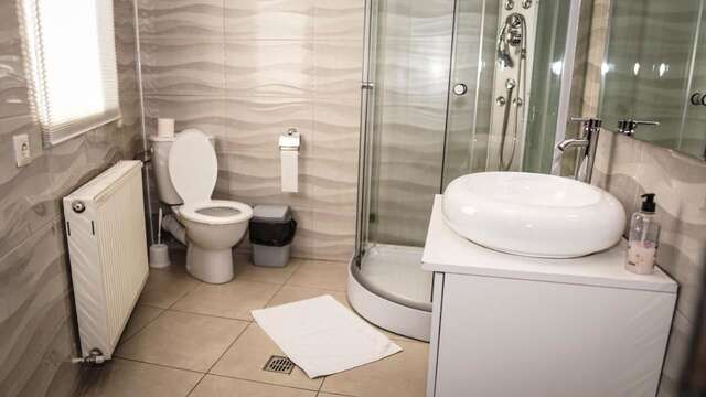 Гостевой дом Bucharest Center Villa Бухарест-12